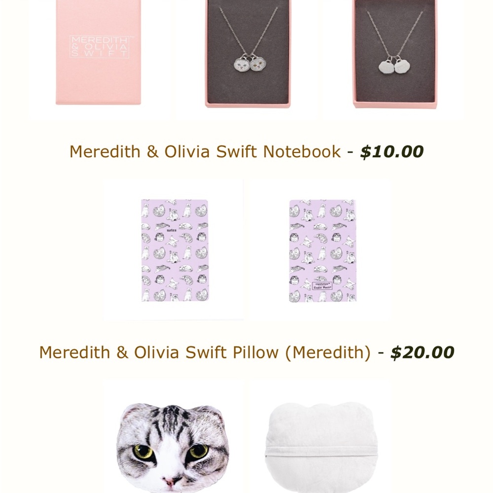 RARE!! Taylor Swift official Meredith & Olivia Swift necklace Reputation era - Picture 3 of 8